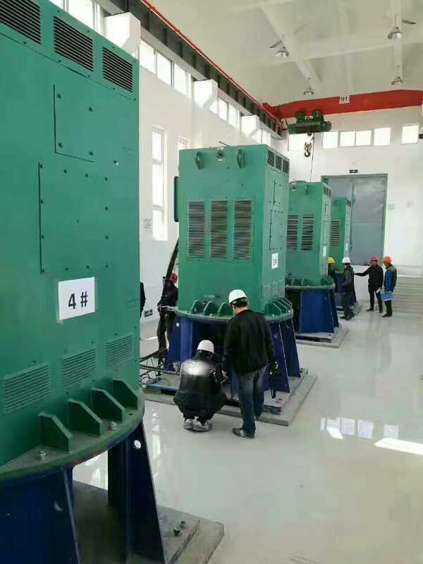 泸州某污水处理厂使用我厂的立式高压电机安装现场报价